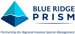 Blue Ridge PRISM